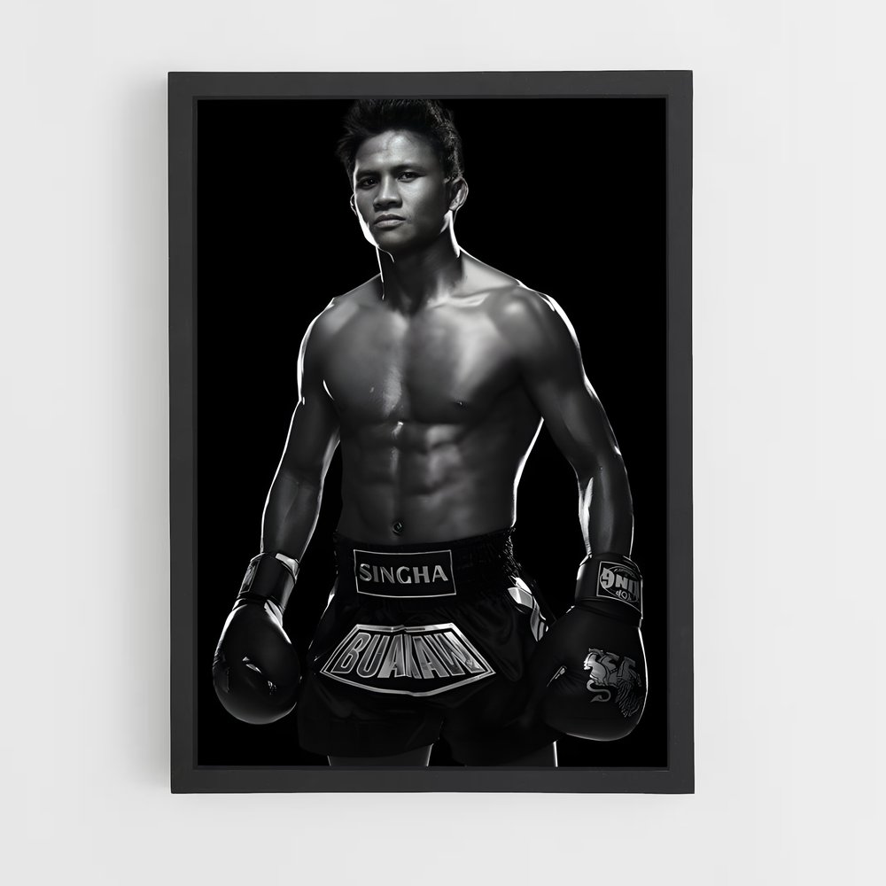 Poster L'Ombre du Champion – affiche Kick-boxing (vue 2)